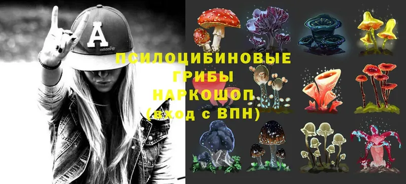 цена   Уссурийск  omg вход  Галлюциногенные грибы Cubensis 